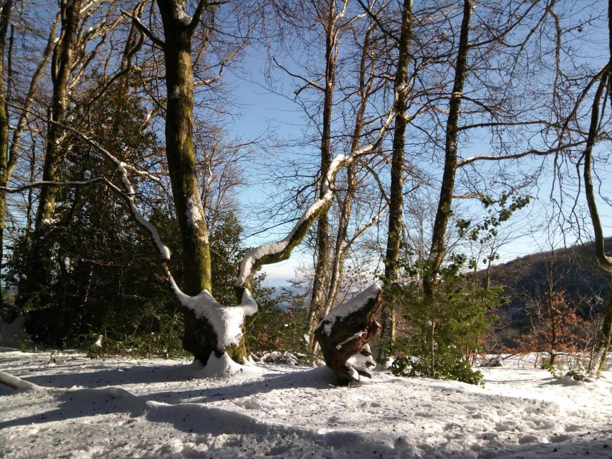 B&B Fromenteau Ternant  Zewnętrze zdjęcie